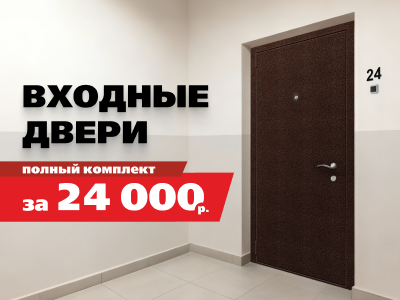 Входные двери за 24 000 р.